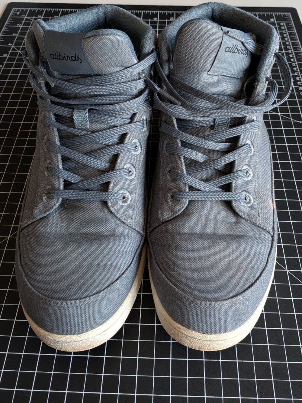 Men's Allbirds Canvas Pacer 12M